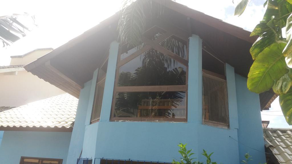 Tartaruga Azul