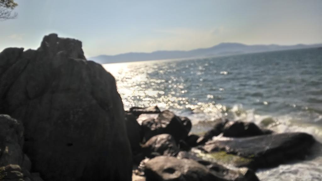 Tartaruga Azul Florianopolis