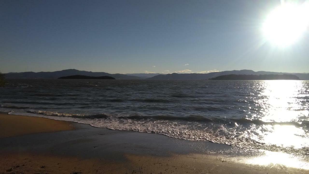 Tartaruga Azul *